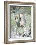 Dream Horses 074-Bob Langrish-Framed Photographic Print