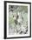 Dream Horses 074-Bob Langrish-Framed Photographic Print