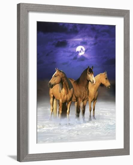 Dream Horses 077-Bob Langrish-Framed Photographic Print