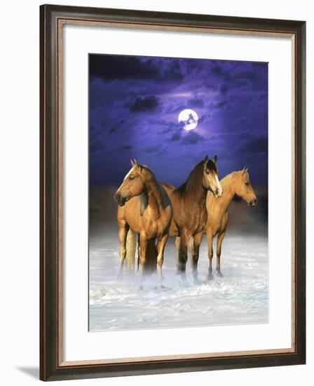 Dream Horses 077-Bob Langrish-Framed Photographic Print