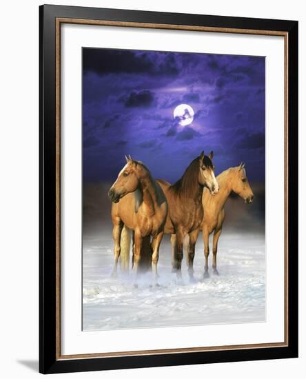 Dream Horses 077-Bob Langrish-Framed Photographic Print