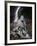 Dream Horses 084-Bob Langrish-Framed Photographic Print