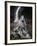 Dream Horses 084-Bob Langrish-Framed Photographic Print