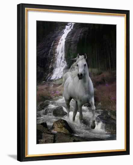 Dream Horses 084-Bob Langrish-Framed Photographic Print