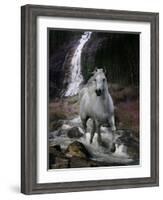 Dream Horses 084-Bob Langrish-Framed Photographic Print