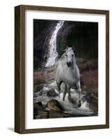 Dream Horses 084-Bob Langrish-Framed Photographic Print