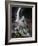Dream Horses 084-Bob Langrish-Framed Photographic Print