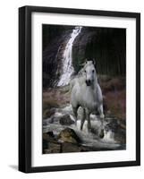 Dream Horses 084-Bob Langrish-Framed Photographic Print