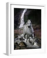 Dream Horses 084-Bob Langrish-Framed Photographic Print