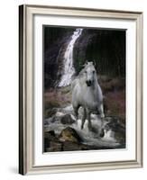 Dream Horses 084-Bob Langrish-Framed Photographic Print