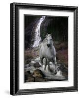 Dream Horses 084-Bob Langrish-Framed Photographic Print