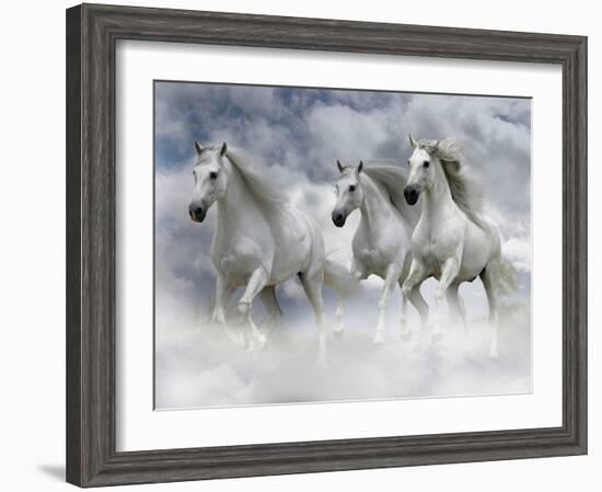 Dream Horses 087-Bob Langrish-Framed Photographic Print