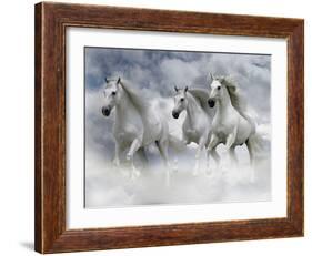 Dream Horses 087-Bob Langrish-Framed Photographic Print