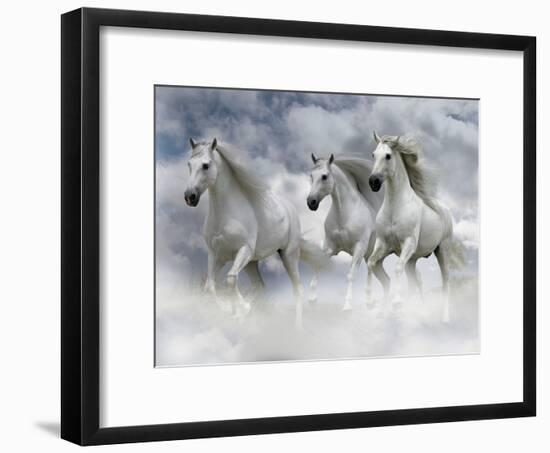 Dream Horses 087-Bob Langrish-Framed Photographic Print