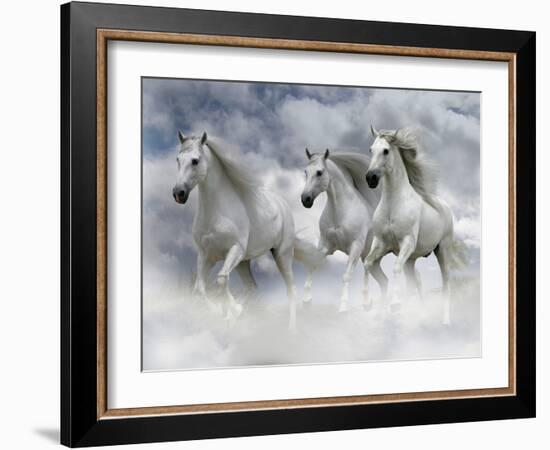 Dream Horses 087-Bob Langrish-Framed Photographic Print