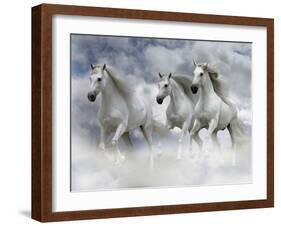 Dream Horses 087-Bob Langrish-Framed Photographic Print
