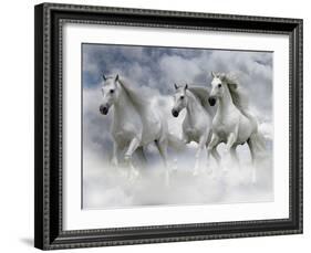Dream Horses 087-Bob Langrish-Framed Photographic Print