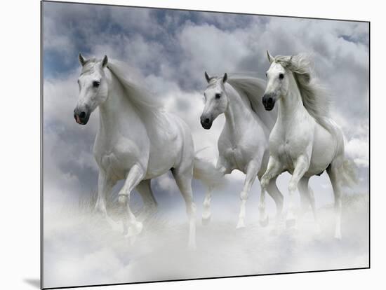 Dream Horses 087-Bob Langrish-Mounted Photographic Print