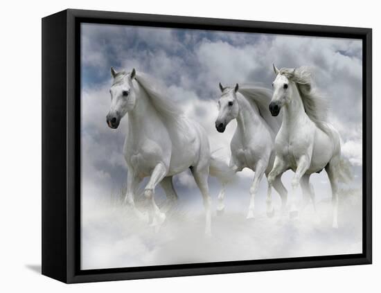 Dream Horses 087-Bob Langrish-Framed Premier Image Canvas