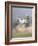 Dream Horses 088-Bob Langrish-Framed Photographic Print