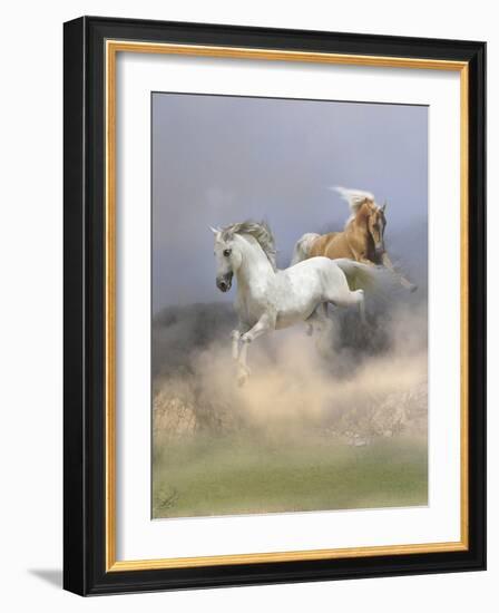 Dream Horses 088-Bob Langrish-Framed Photographic Print