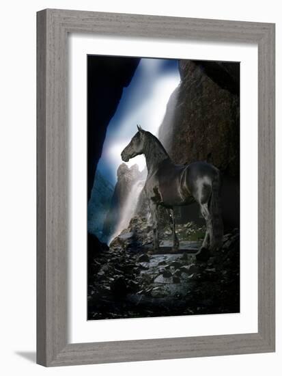 Dream Horses 089-Bob Langrish-Framed Photographic Print