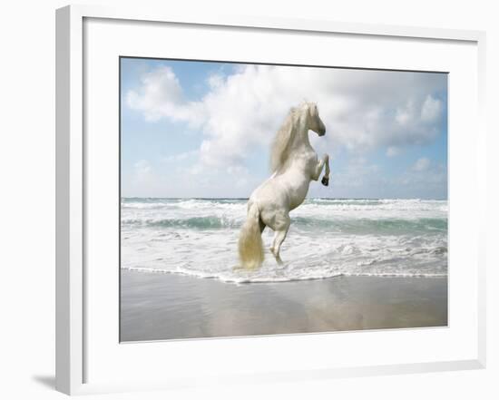 Dream Horses 096-Bob Langrish-Framed Photographic Print