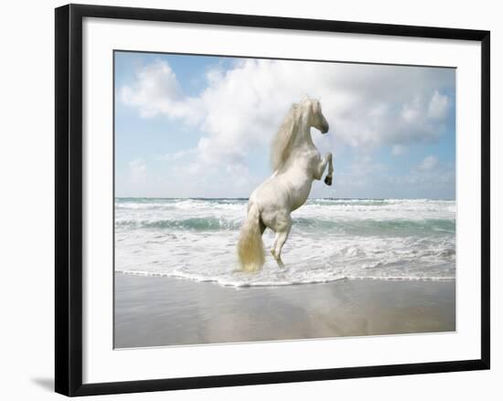 Dream Horses 096-Bob Langrish-Framed Photographic Print