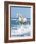 Dream Horses 097-Bob Langrish-Framed Photographic Print