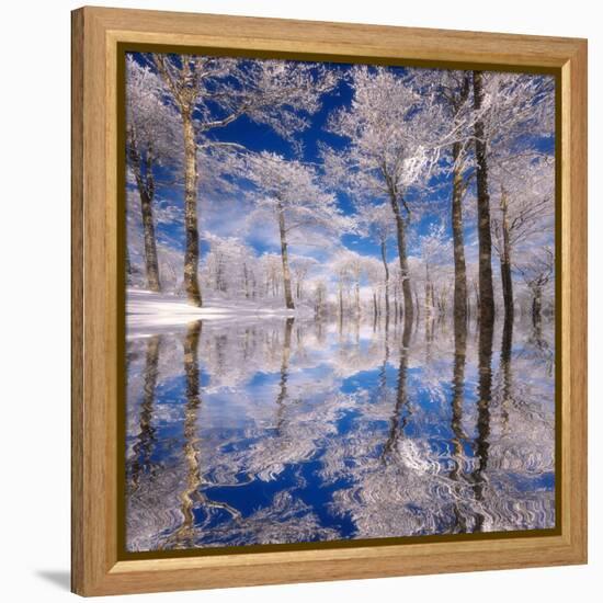 Dream in Blue-Philippe Sainte-Laudy-Framed Premier Image Canvas