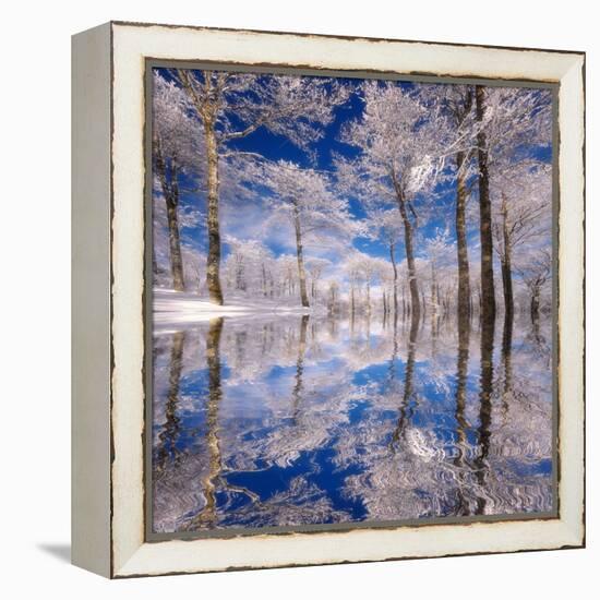 Dream in Blue-Philippe Sainte-Laudy-Framed Premier Image Canvas