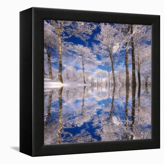 Dream in Blue-Philippe Sainte-Laudy-Framed Premier Image Canvas