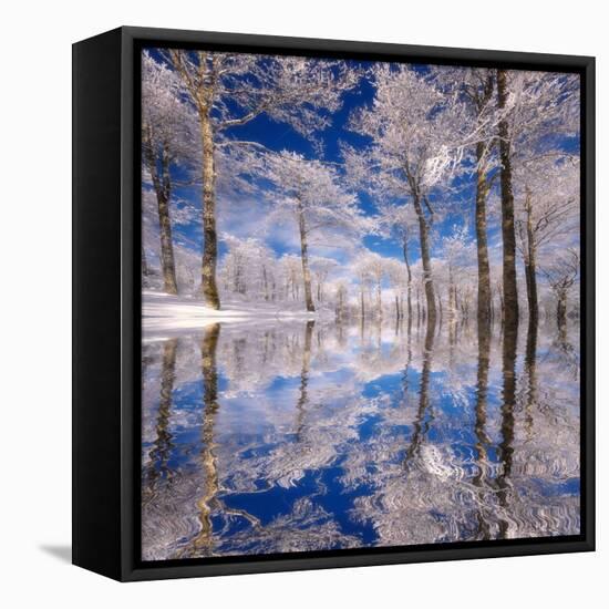 Dream in Blue-Philippe Sainte-Laudy-Framed Premier Image Canvas