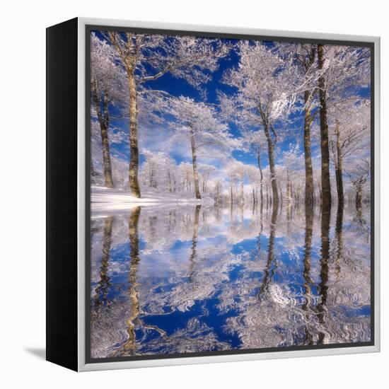 Dream in Blue-Philippe Sainte-Laudy-Framed Premier Image Canvas