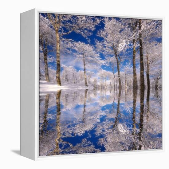 Dream in Blue-Philippe Sainte-Laudy-Framed Premier Image Canvas