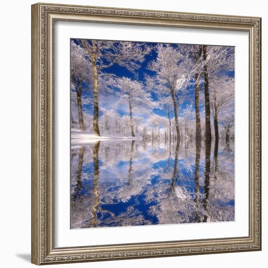 Dream in Blue-Philippe Sainte-Laudy-Framed Photographic Print