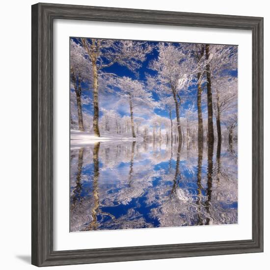 Dream in Blue-Philippe Sainte-Laudy-Framed Photographic Print