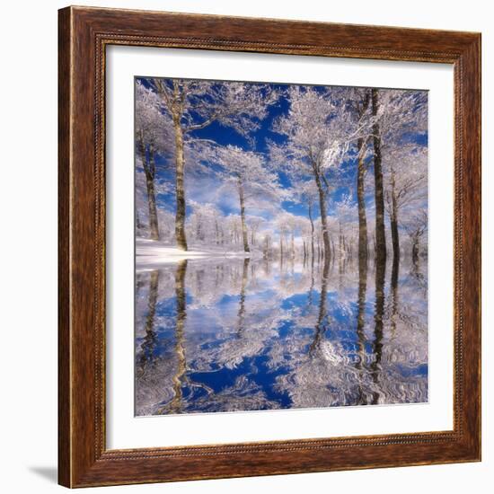 Dream in Blue-Philippe Sainte-Laudy-Framed Photographic Print