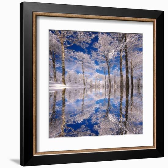 Dream in Blue-Philippe Sainte-Laudy-Framed Premium Photographic Print