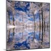 Dream in Blue-Philippe Sainte-Laudy-Mounted Premium Photographic Print