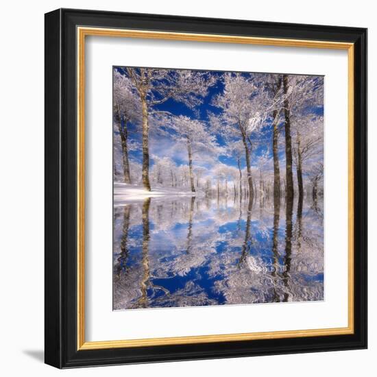 Dream in Blue-Philippe Sainte-Laudy-Framed Premium Photographic Print