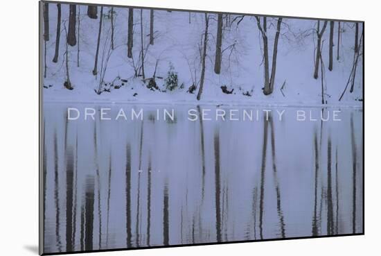 Dream in Serenity Blue-Art Licensing Studio-Mounted Giclee Print
