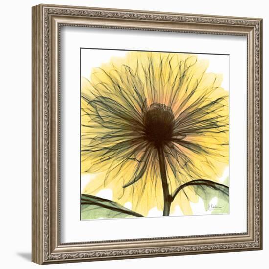 Dream in Yellow-Albert Koetsier-Framed Art Print