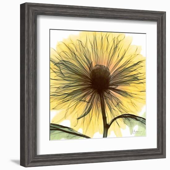 Dream in Yellow-Albert Koetsier-Framed Art Print