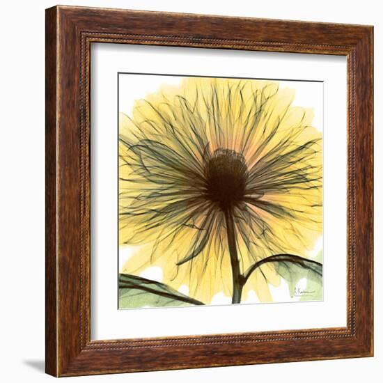 Dream in Yellow-Albert Koetsier-Framed Art Print