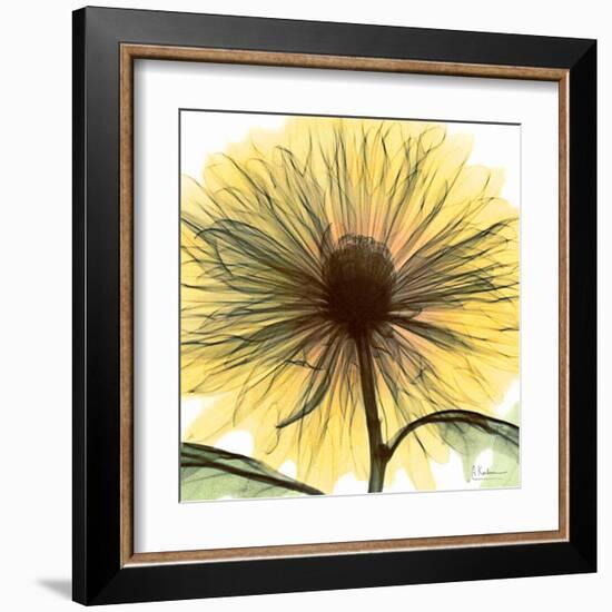 Dream in Yellow-Albert Koetsier-Framed Art Print