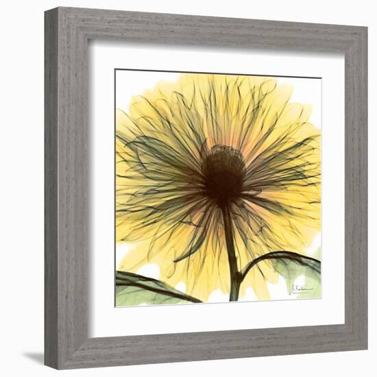 Dream in Yellow-Albert Koetsier-Framed Art Print