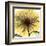 Dream in Yellow-Albert Koetsier-Framed Art Print