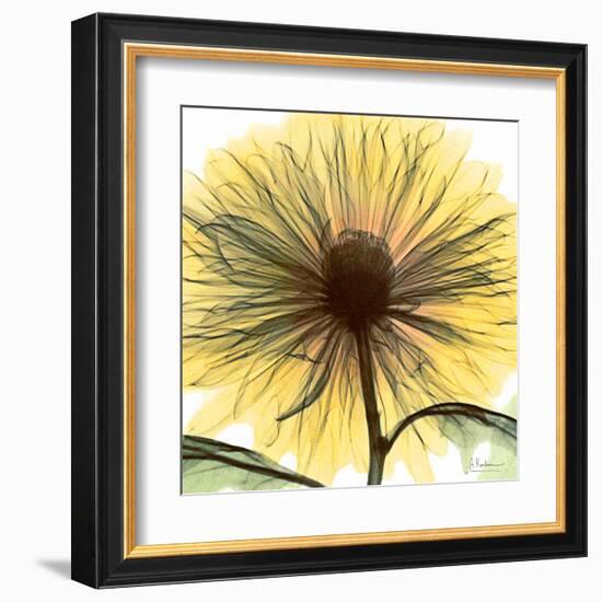 Dream in Yellow-Albert Koetsier-Framed Art Print