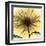 Dream in Yellow-Albert Koetsier-Framed Art Print